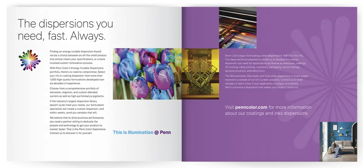 Photo of Color Dispersions Brochure